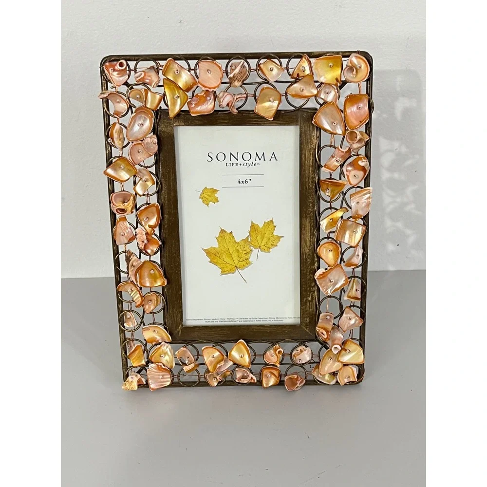 Sonoma Life + Style Picture Frame 4x6 Bronze Shell Coastal Boho Decor